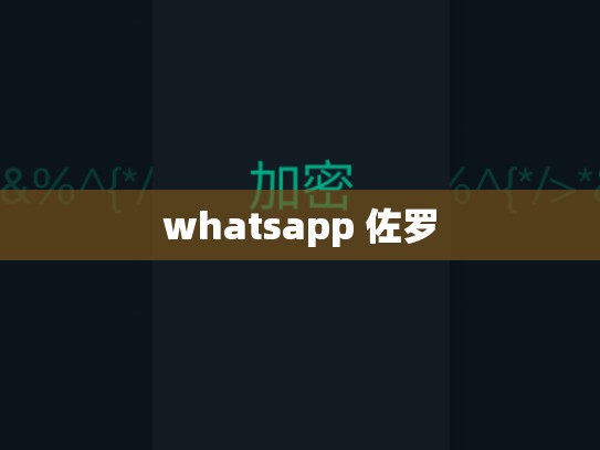 whatsapp 佐罗