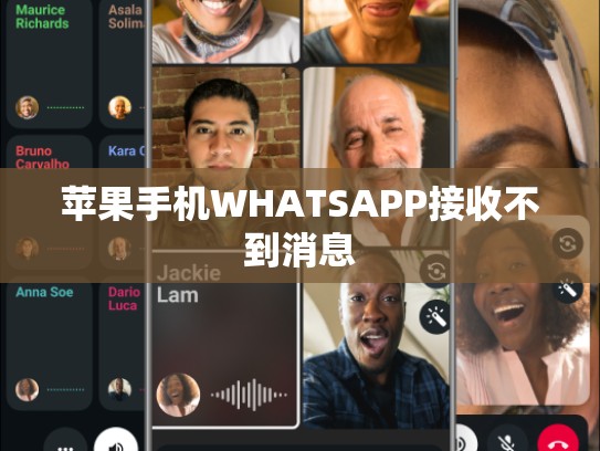 苹果手机WHATSAPP接收不到消息