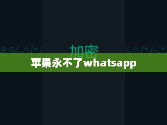 苹果永不了whatsapp