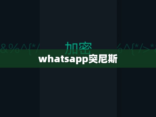 whatsapp突尼斯