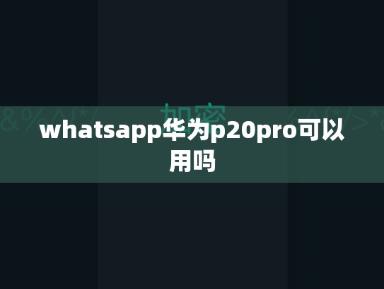 whatsapp华为p20pro可以用吗