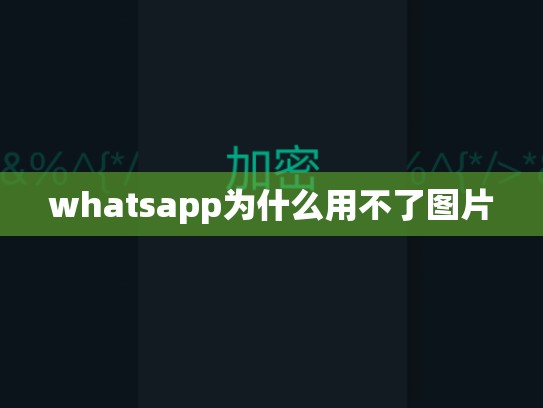 whatsapp为什么用不了图片