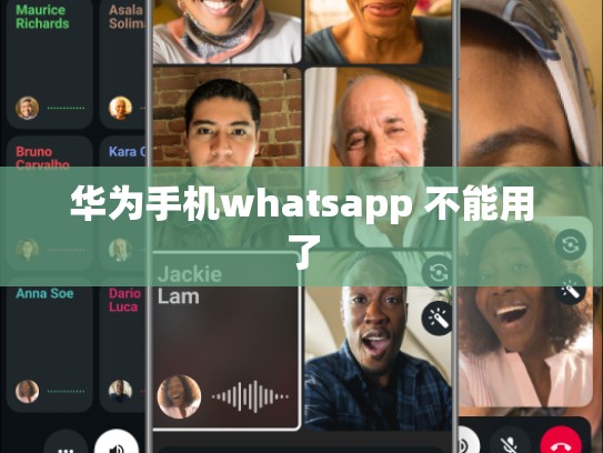华为手机whatsapp 不能用了