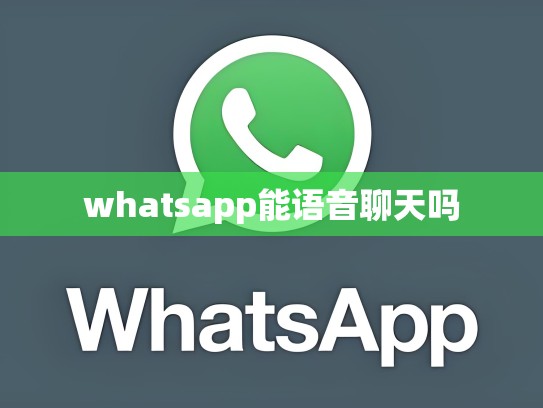 whatsapp能语音聊天吗