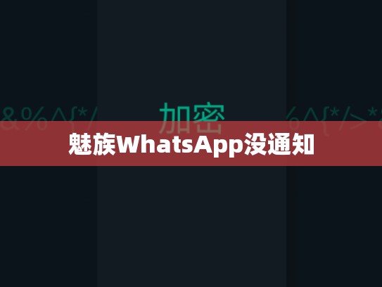 魅族WhatsApp没通知
