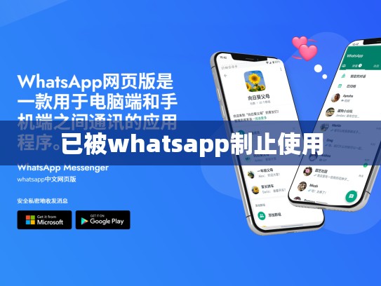 已被whatsapp制止使用