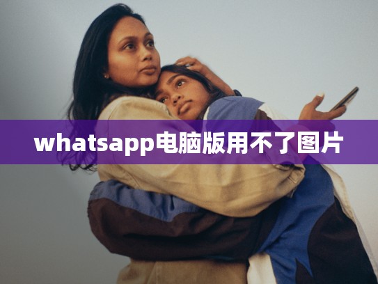 whatsapp电脑版用不了图片