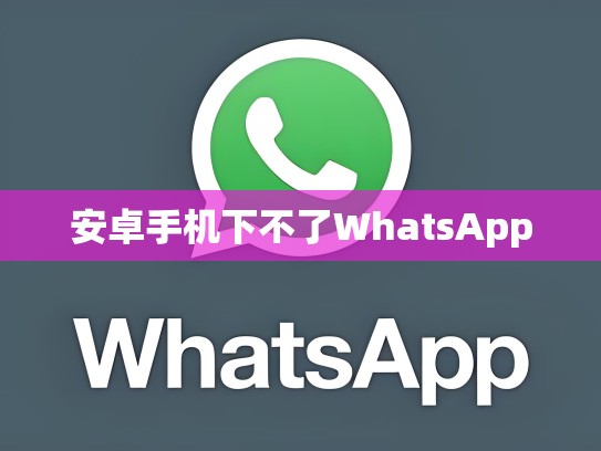 安卓手机下不了WhatsApp