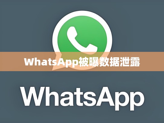 WhatsApp被曝数据泄露