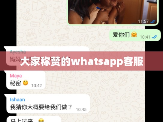 大家称赞的whatsapp客服