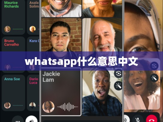 whatsapp什么意思中文