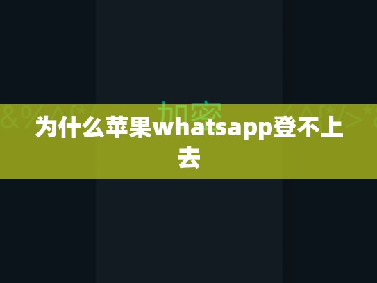 为什么苹果whatsapp登不上去
