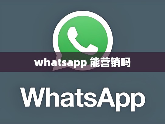 whatsapp 能营销吗