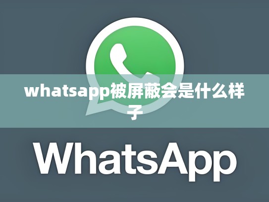 whatsapp被屏蔽会是什么样子
