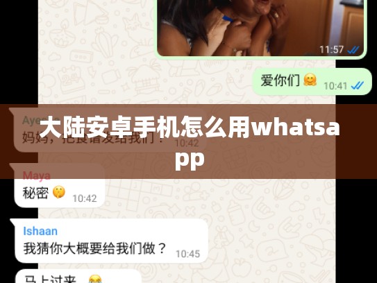 大陆安卓手机怎么用whatsapp