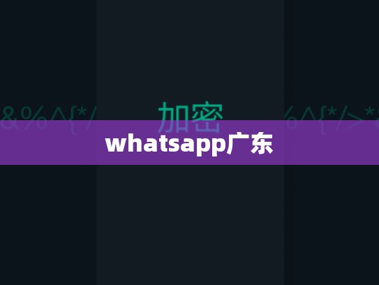 whatsapp广东