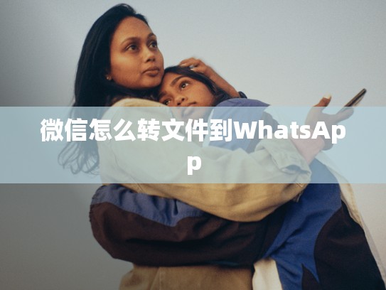 微信怎么转文件到WhatsApp