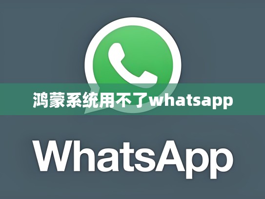 鸿蒙系统用不了whatsapp