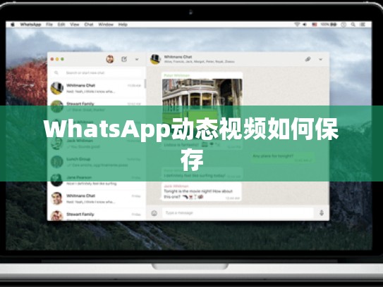 WhatsApp动态视频如何保存