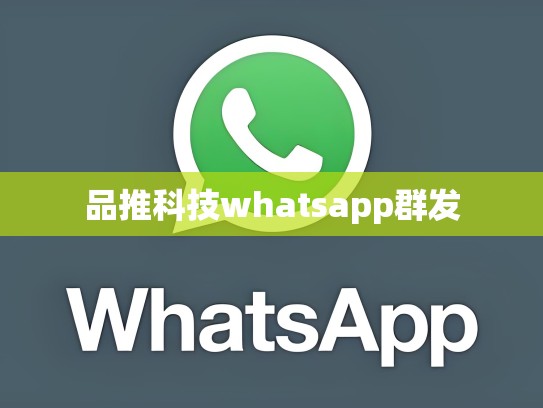 品推科技whatsapp群发