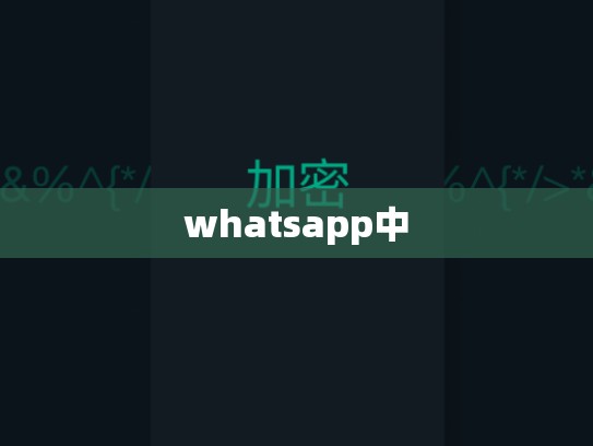 whatsapp中