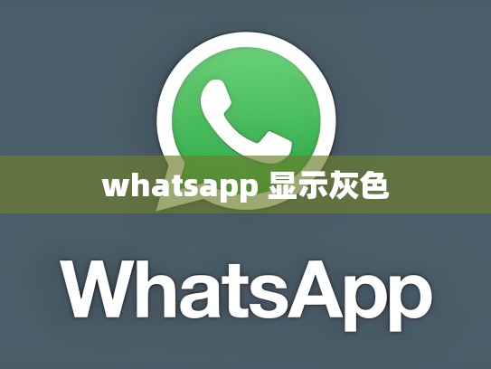 whatsapp 显示灰色