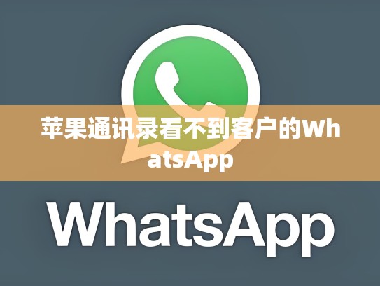 苹果通讯录看不到客户的WhatsApp
