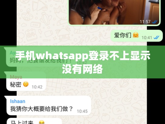 手机whatsapp登录不上显示没有网络