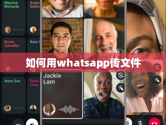 如何用whatsapp传文件