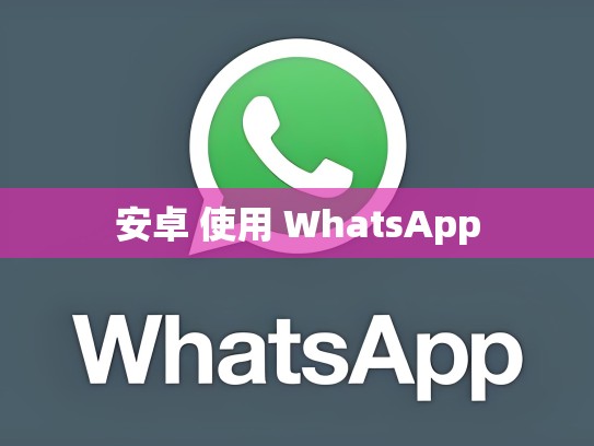 安卓 使用 WhatsApp