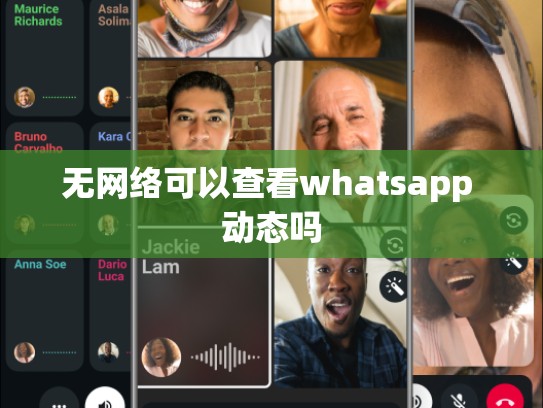 无网络可以查看whatsapp 动态吗