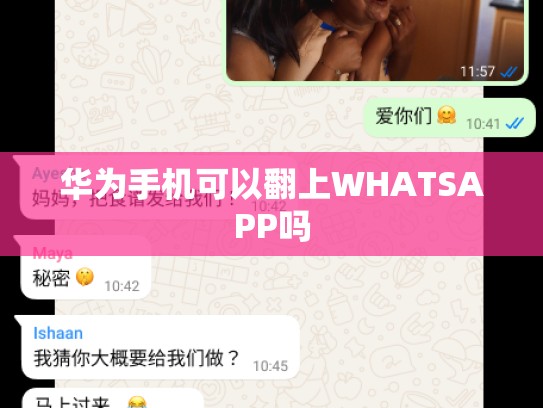 华为手机可以翻上WHATSAPP吗
