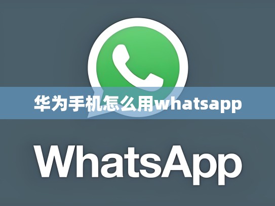 华为手机怎么用whatsapp