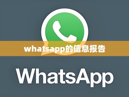 whatsapp的信息报告