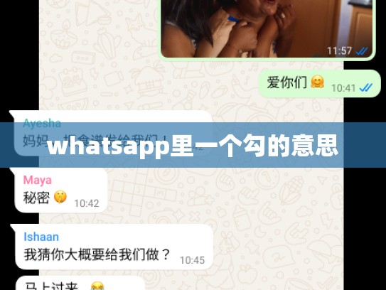 whatsapp里一个勾的意思