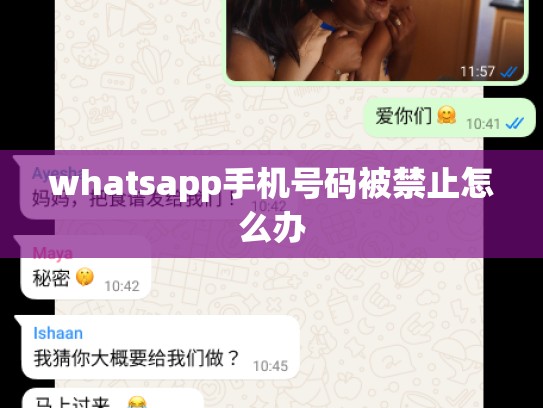 whatsapp手机号码被禁止怎么办