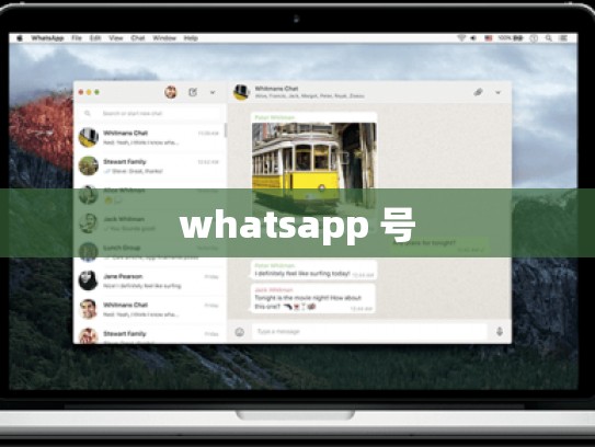 whatsapp 号
