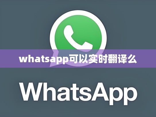 whatsapp可以实时翻译么