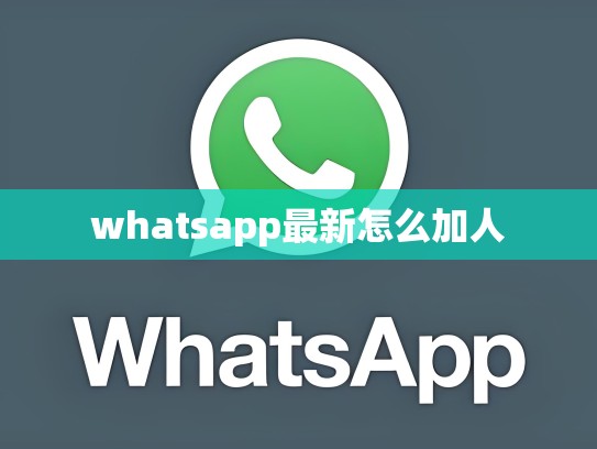 whatsapp最新怎么加人