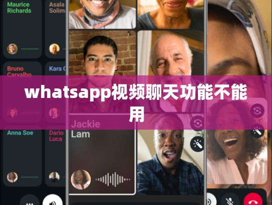 whatsapp视频聊天功能不能用