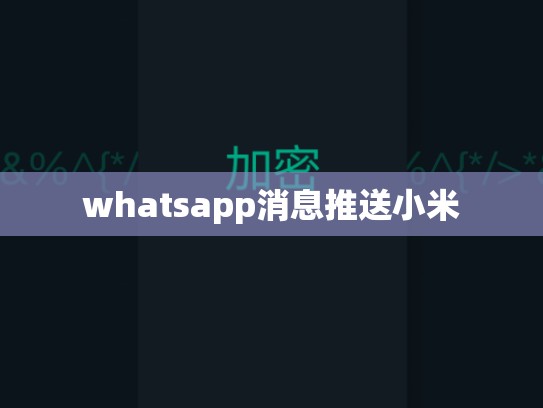 whatsapp消息推送小米