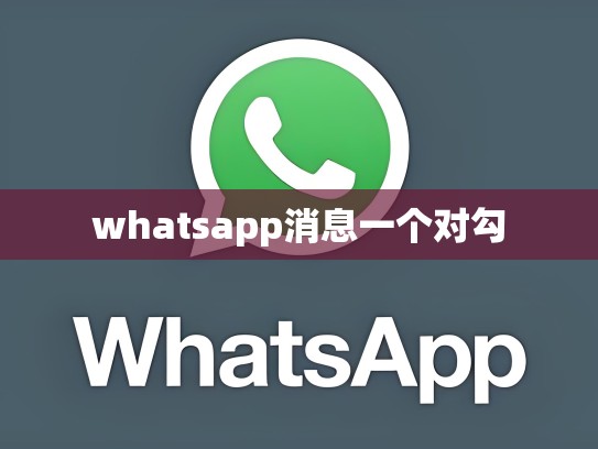 whatsapp消息一个对勾