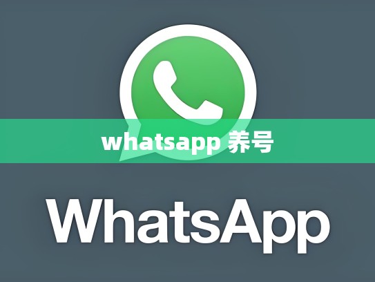 whatsapp 养号