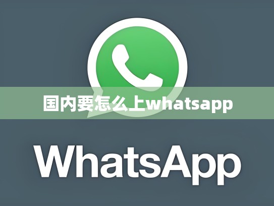 国内要怎么上whatsapp