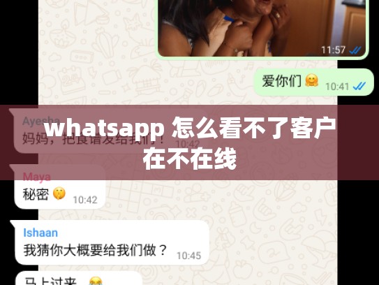 whatsapp 怎么看不了客户在不在线