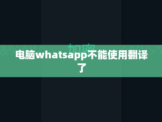 电脑whatsapp不能使用翻译了