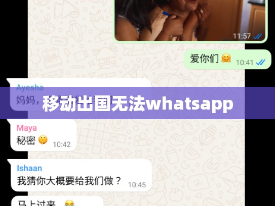 移动出国无法whatsapp