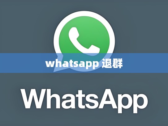 whatsapp 退群