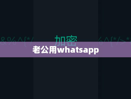 老公用whatsapp
