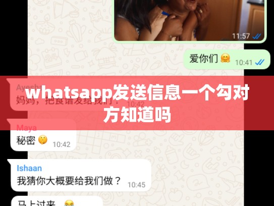 whatsapp发送信息一个勾对方知道吗